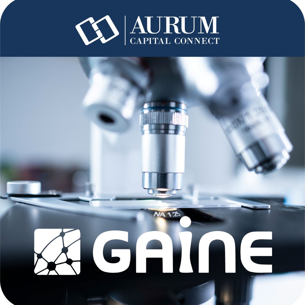 Gaine — Aurum Capital current portfolio